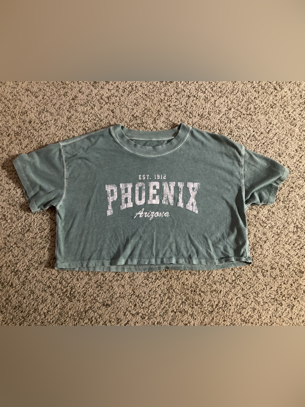 Aeropostale Teal Phoenix Arizona Crop Top